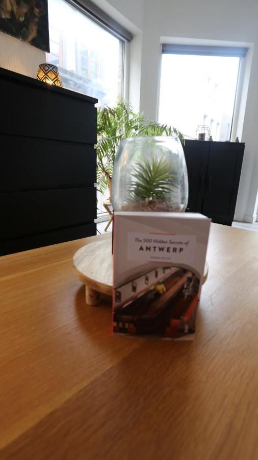 Studio 200 Meters From Central Station Antwerpen